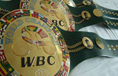  WBC